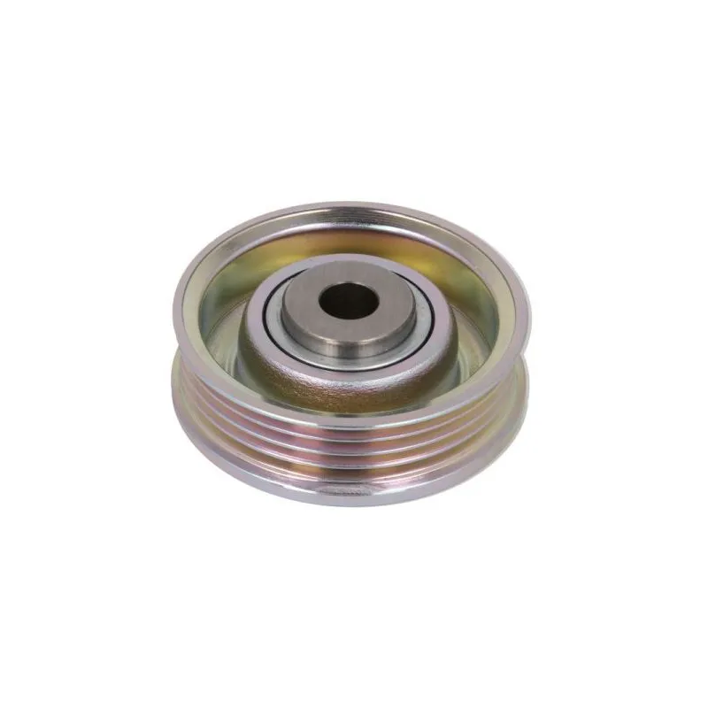 Poulie-tendeur, courroie trapézoïdale à nervures BTA E25014BTA - Visuel 1