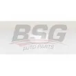 BSG BSG 15-130-008 - Filtre à carburant