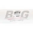 BSG BSG 15-130-009 - Filtre à carburant