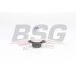 BSG BSG 15-310-182 - Rotule de suspension