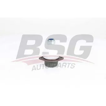 BSG BSG 15-310-182 - Rotule de suspension