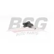 Rotule de suspension BSG [BSG 15-310-184]