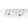 BSG BSG 15-310-189 - Entretoise/tige, stabilisateur