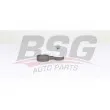 BSG BSG 15-310-198 - Entretoise/tige, stabilisateur