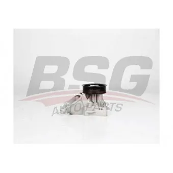 BSG BSG 15-500-014 - Pompe à eau
