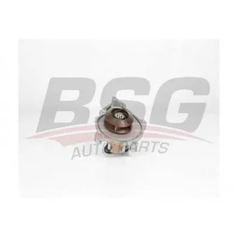 BSG BSG 15-500-017 - Pompe à eau