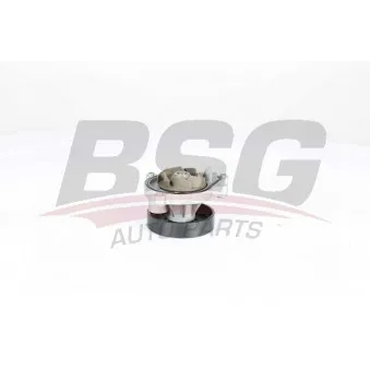 BSG BSG 15-500-022 - Pompe à eau