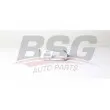 BSG BSG 15-506-022 - Radiateur d'huile de boîte automatique