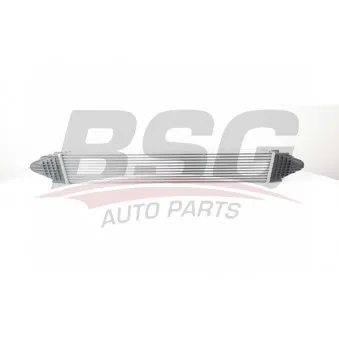 BSG BSG 15-535-010 - Intercooler, échangeur