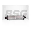 Intercooler, échangeur BSG [BSG 15-535-013]