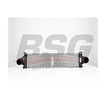 Intercooler, échangeur BSG BSG 15-535-013