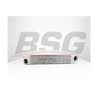 BSG BSG 15-535-017 - Intercooler, échangeur