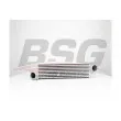 BSG BSG 15-535-018 - Intercooler, échangeur