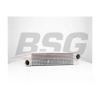 BSG BSG 15-535-018 - Intercooler, échangeur
