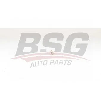 BSG BSG 15-870-005 - Bougie de préchauffage