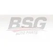 BSG BSG 15-870-008 - Bougie de préchauffage