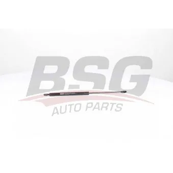 BSG BSG 15-980-004 - Vérin, capot-moteur