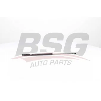 BSG BSG 15-980-006 - Vérin, capot-moteur