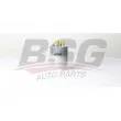 BSG BSG 25-130-001 - Filtre à carburant