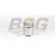 BSG BSG 25-130-003 - Filtre à carburant
