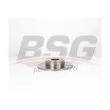 BSG BSG 25-210-010 - Jeu de 2 disques de frein arrière