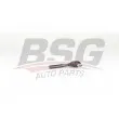 BSG BSG 25-310-004 - Rotule de barre de connexion