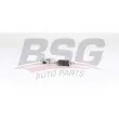 BSG BSG 25-310-051 - Entretoise/tige, stabilisateur