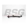 BSG BSG 25-315-014 - Bras de liaison, suspension de roue avant droit