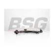 BSG BSG 25-315-014 - Triangle ou bras de suspension (train avant)