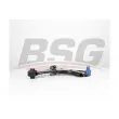 BSG BSG 25-315-036 - Triangle ou bras de suspension (train avant)