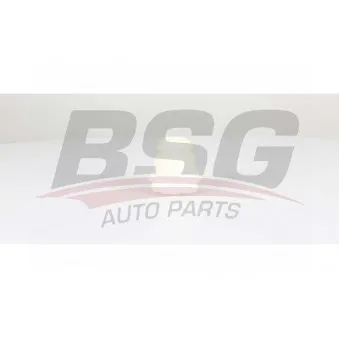BSG BSG 25-700-011 - Butée élastique, suspension