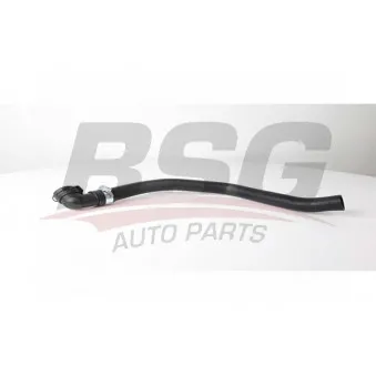 BSG BSG 25-720-005 - Durite de radiateur