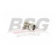 BSG BSG 25-725-019 - Tuyauterie, vanne EGR