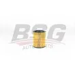 BSG BSG 30-140-010 - Filtre à huile
