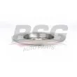 BSG BSG 30-210-033 - Jeu de 2 disques de frein arrière