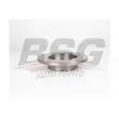 BSG BSG 30-210-041 - Jeu de 2 disques de frein avant