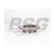 BSG BSG 30-210-042 - Jeu de 2 disques de frein avant