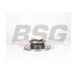 BSG BSG 30-210-044 - Jeu de 2 disques de frein arrière
