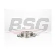 BSG BSG 30-210-045 - Jeu de 2 disques de frein arrière