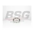 BSG BSG 30-245-014 - Étrier de frein avant gauche 