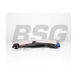 BSG BSG 30-315-058 - Triangle ou bras de suspension (train avant)
