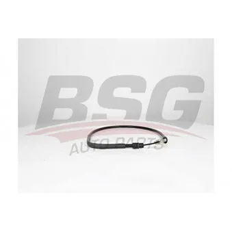 Tirette à câble, frein de stationnement BSG BSG 30-765-018 pour FORD TRANSIT 3.2 TDCi - 200cv