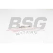 BSG BSG 30-870-007 - Bougie de préchauffage