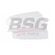 BSG BSG 30-915-011 - Revêtement, rétroviseur extérieur