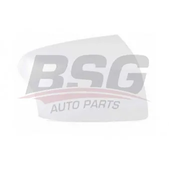 BSG BSG 30-915-011 - Revêtement, rétroviseur extérieur