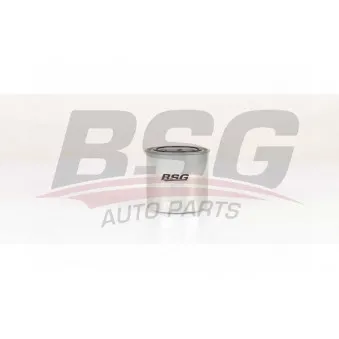 BSG BSG 40-130-014 - Filtre à carburant