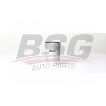 Filtre à carburant BSG OEM 313003E200