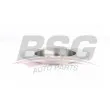 BSG BSG 40-210-012 - Jeu de 2 disques de frein arrière
