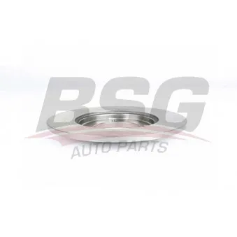 BSG BSG 40-210-037 - Jeu de 2 disques de frein avant