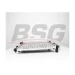 BSG BSG 40-520-043 - Radiateur, refroidissement du moteur
